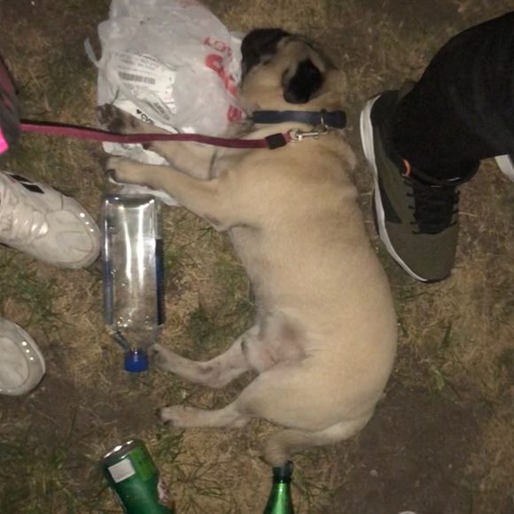 ALL NFS IS DONATED 👀 - Picture 6 of 6